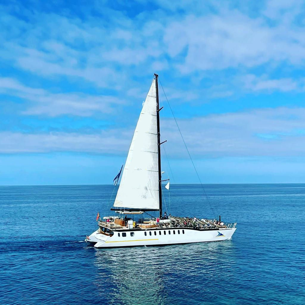 MAGNIFICENT CATAMARAN PRINCIPAL