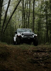 jeep, car, automobile, vehicle, car wallpapers, forest, offroad, 4x4, wrangler, custom, white, adventure, nature, discover, travel