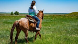 natural, landscape, people, women, nature, meadow, horse, beautiful