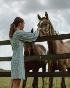 A woman gently pets horses by a wooden fence in a peaceful rural scene.
