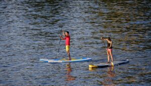 padding, stand up paddling, nature, stand up paddle surfing, surfboard, sports, water sports, paddle, leisure time, fun, water, lake, flow, more