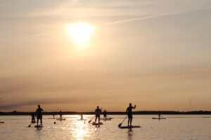 stand up paddeling, nature, paddle, sunset
