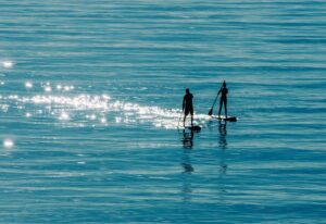 sea, stand-up paddle, paddling, water, silhouette, sport, leisure, nature, ocean, paddlers